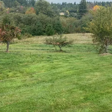 Beautiful Country Apartment, Ac, Pickleball, Billiards, Playground, Gardens Philomath Exterior photo